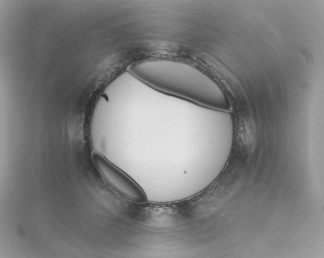 X0000115440512200911251248