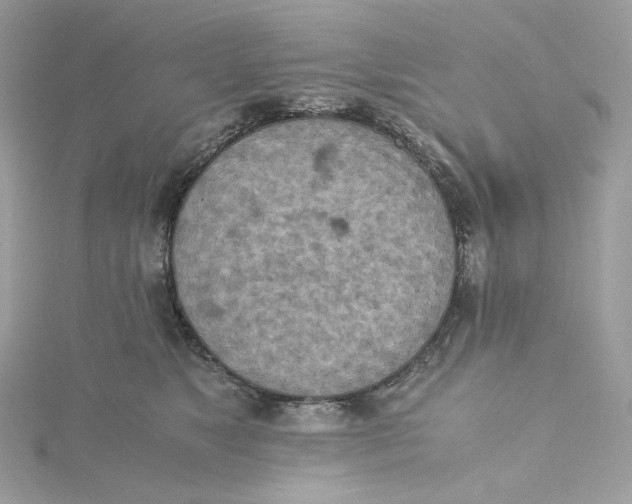 X0000115440517200911251248