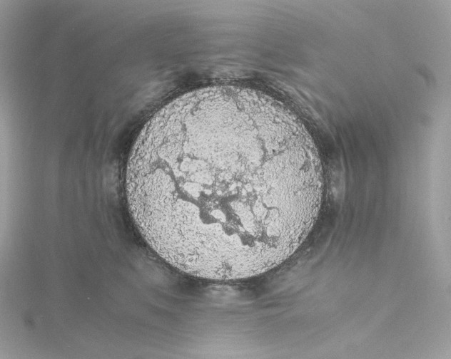 X0000115440519200911251248