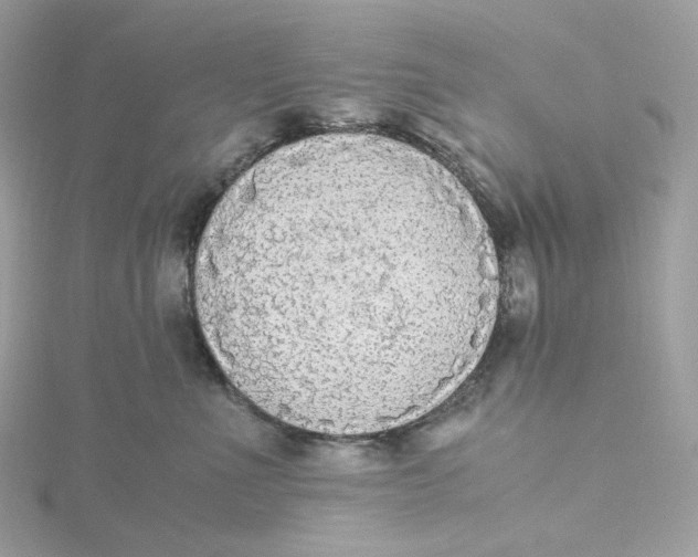 X0000115440523200911251248