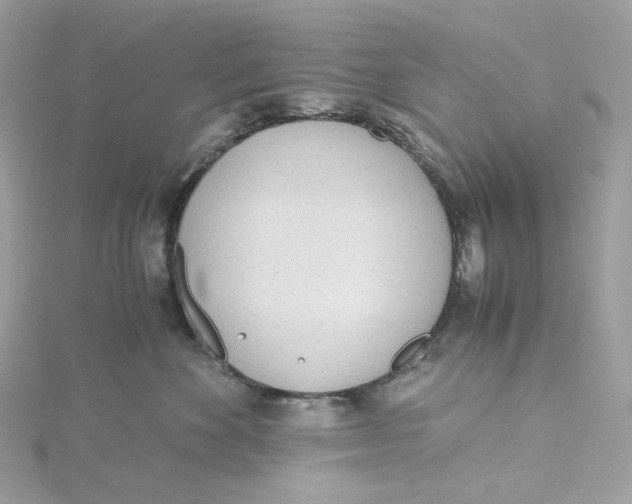 X0000115440524200911251248