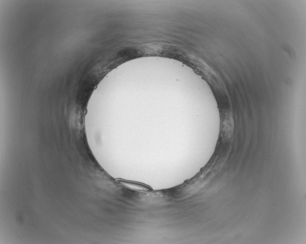 X0000115440525200911251248