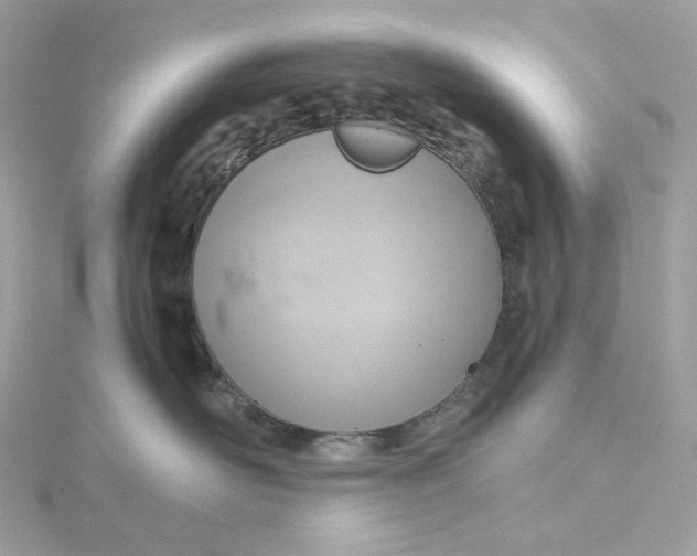 X0000115440526200911251248