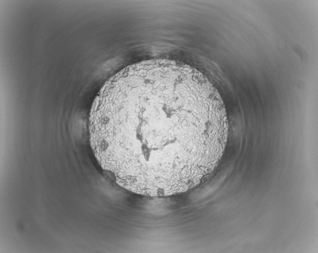 X0000115440527200911251248