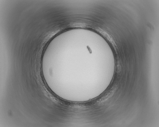 X0000115440529200911251247