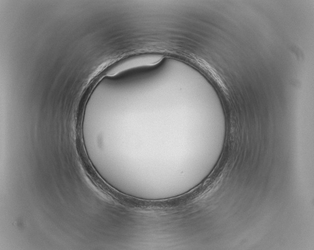 X0000115440530200911251247