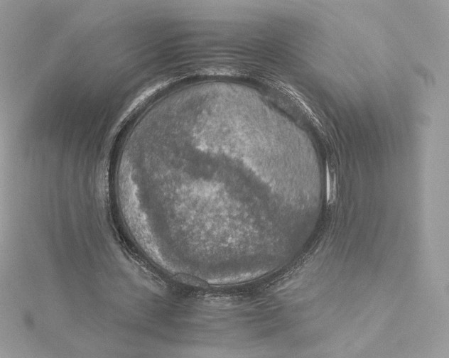 X0000115440531200911251247