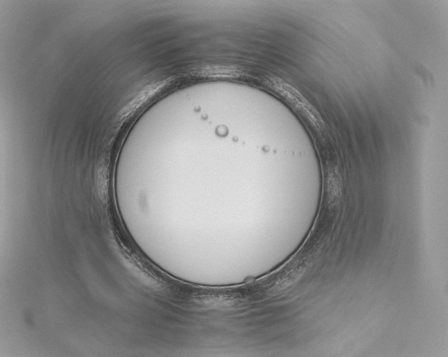 X0000115440533200911251248