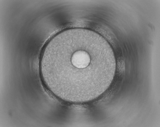 X0000115440534200911251248