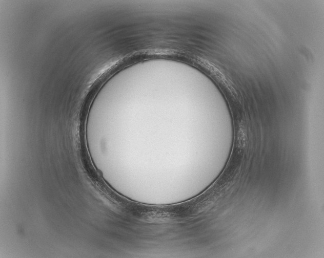 X0000115440535200911251248