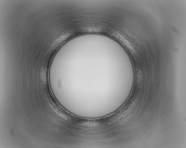 X0000115440537200911251248