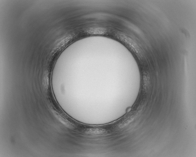 X0000115440541200911251248