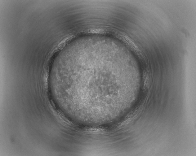 X0000115440542200911251248