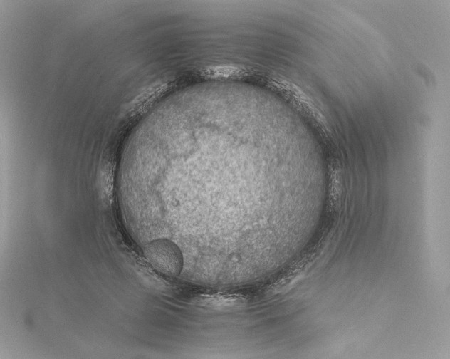 X0000115440545200911251248