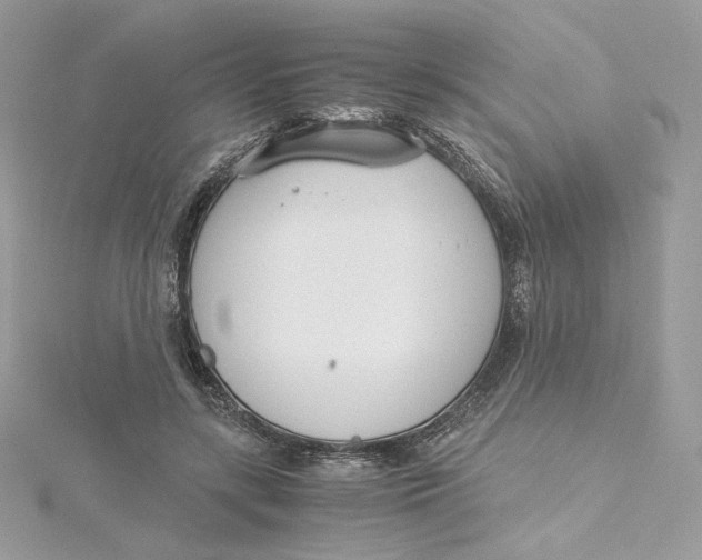 X0000115440547200911251248