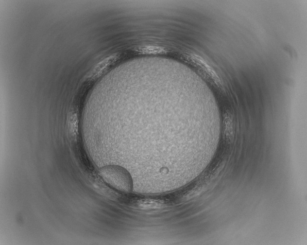 X0000115440549200911251248