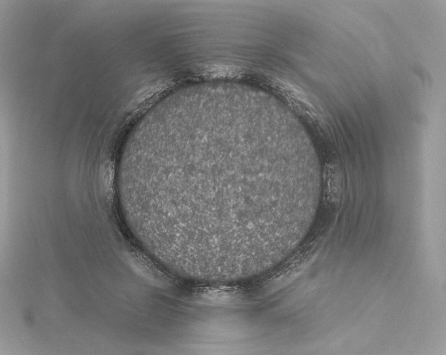 X0000115440550200911251248