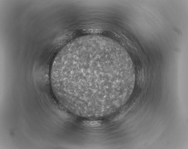 X0000115440553200911251248