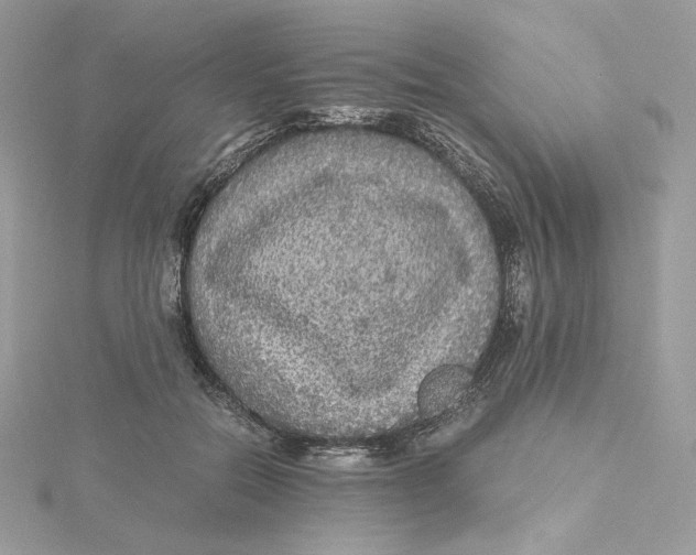 X0000115440554200911251248