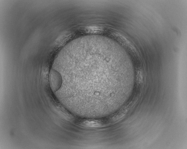 X0000115440557200911251248