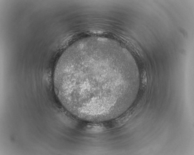 X0000115440559200911251248