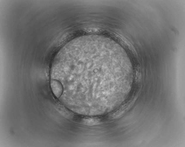 X0000115440561200911251248