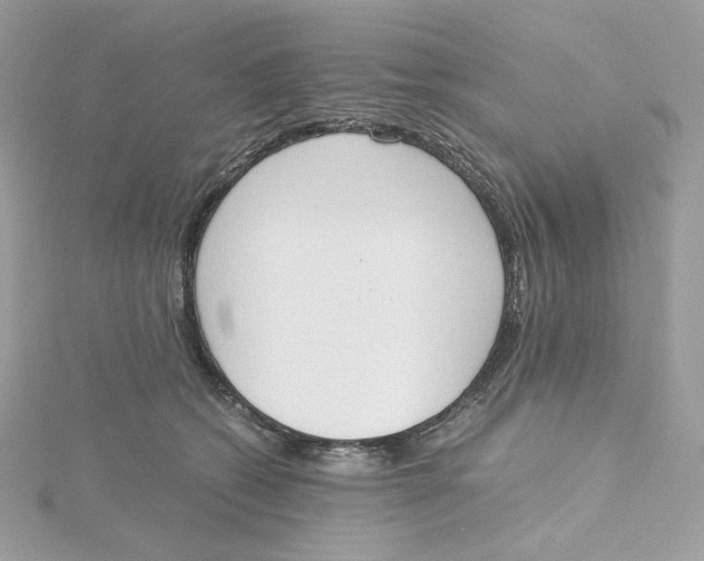 X0000115440562200911251248