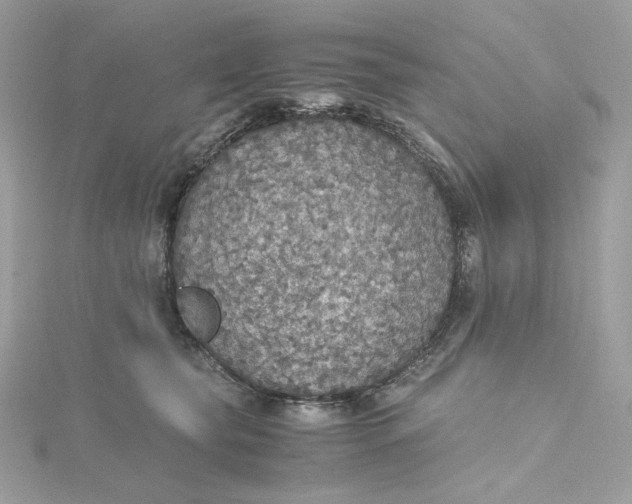 X0000115440565200911251248