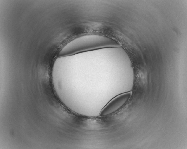 X0000115440566200911251248