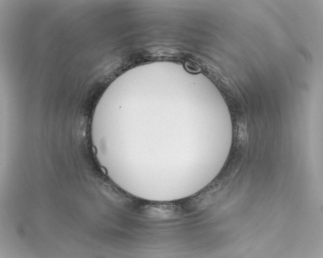 X0000115440567200911251248