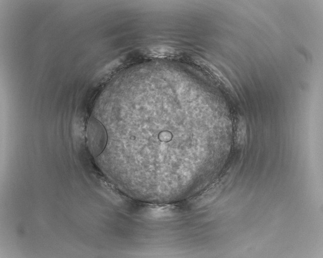 X0000115440569200911251248