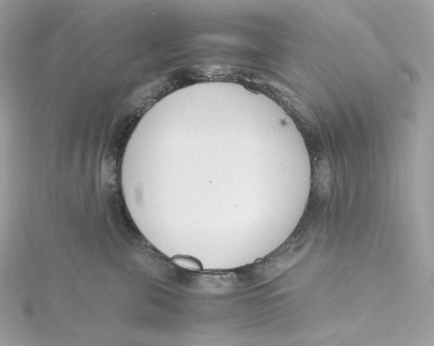 X0000115440571200911251248