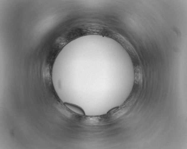 X0000115440573200911251248