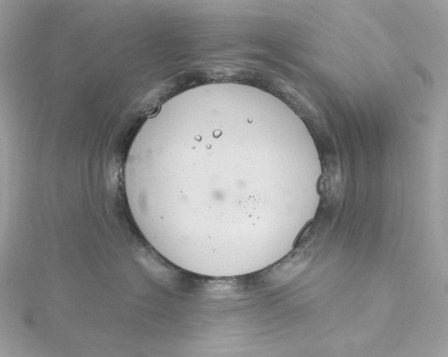 X0000115440574200911251248