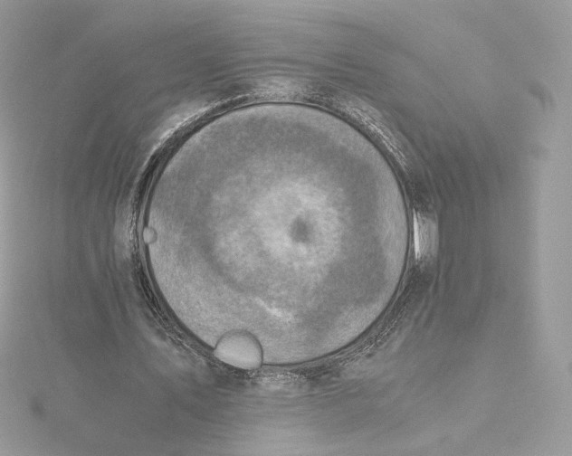 X0000115440579200911251247