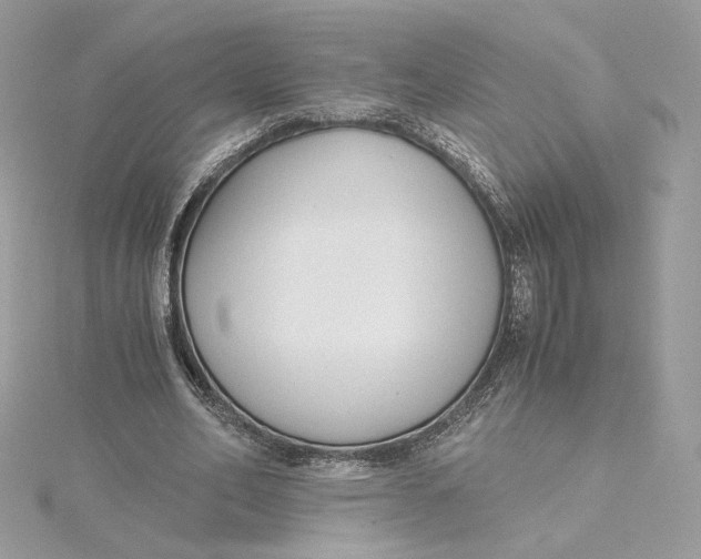 X0000115440582200911251247