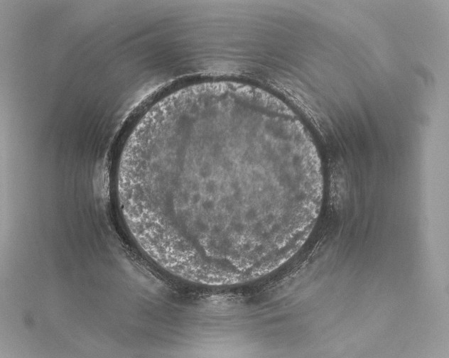 X0000115440584200911251247