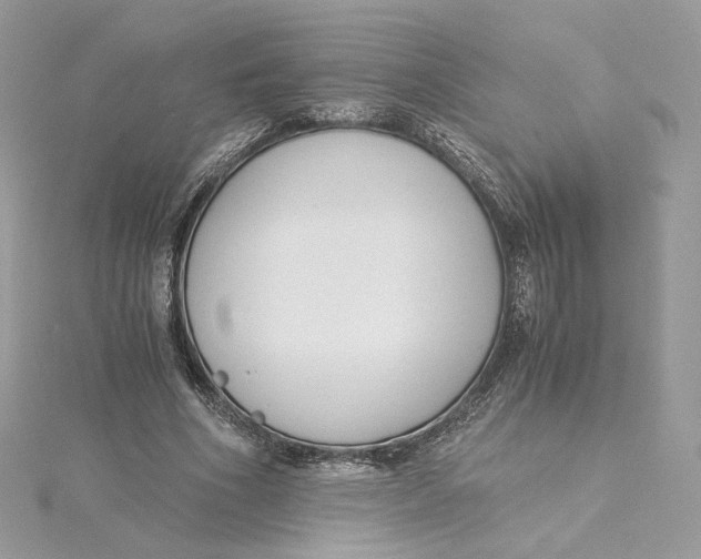 X0000115440586200911251247