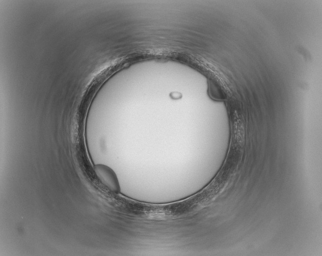 X0000115440587200911251247