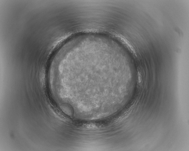 X0000115440588200911251247