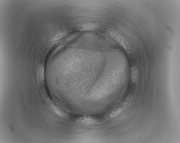 X0000115440589200911251247