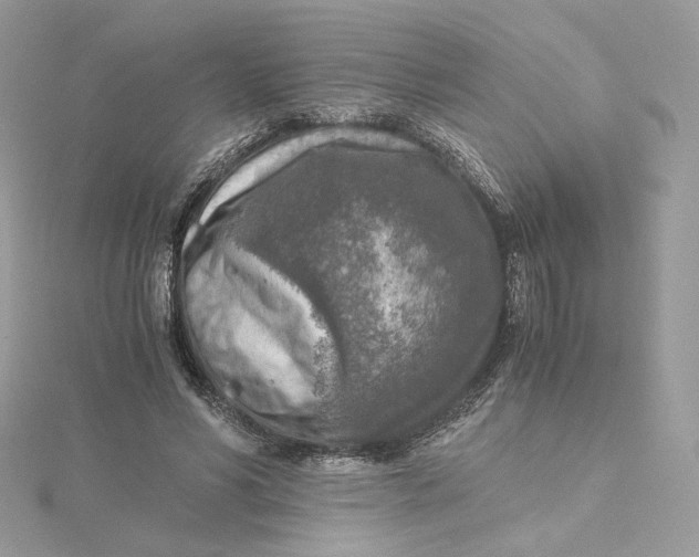 X0000115440590200911251247