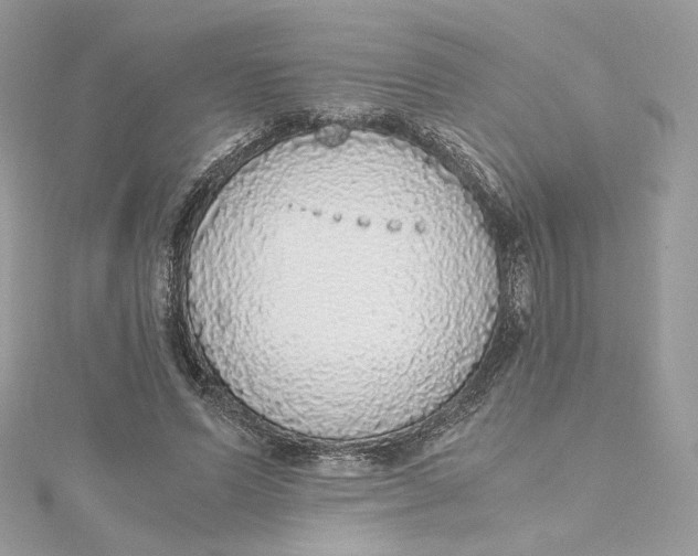 X0000115440591200911251247