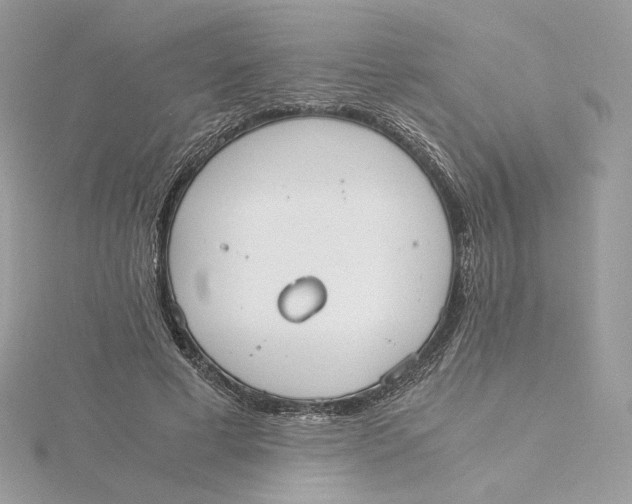 X0000115440593200911251247