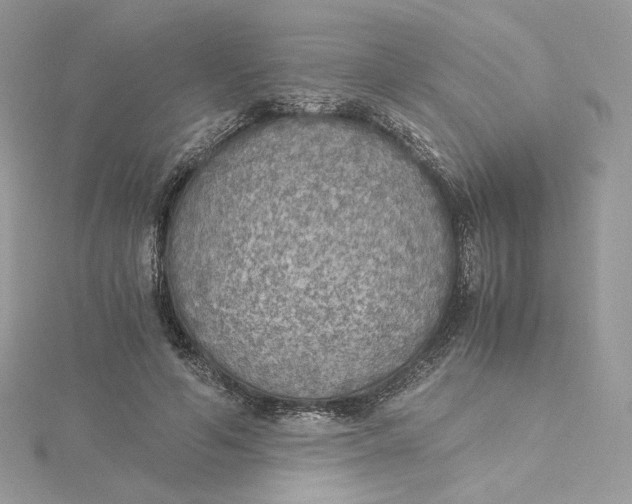 X0000115440594200911251247