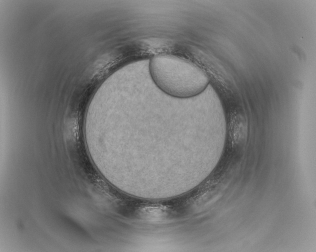 X0000115440595200911251247