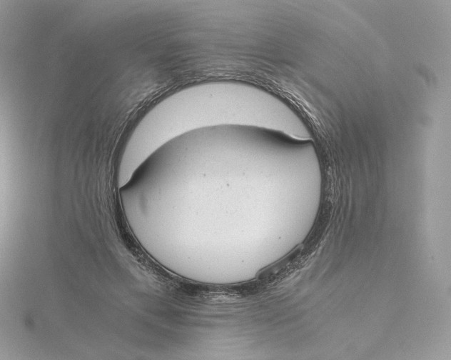 X0000115440597200911251247