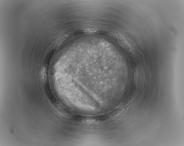 X0000115440598200911251247