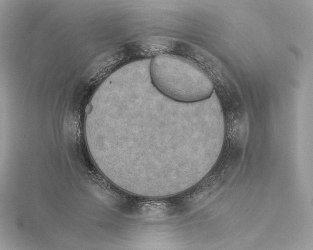 X0000115440599200911251247