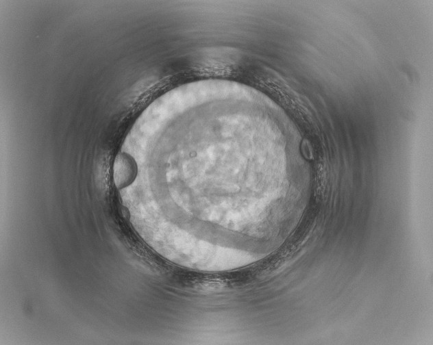 X0000115440600200911251247